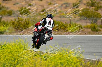 media/May-10-2024-2WTD (Fri) [[c88d7990af]]/Group C/Session 2-The Bowl/